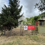 Парцел в с. Калипетрово, Област Силистра - 1200 кв.м за 9 €/кв.м - Снимка #1