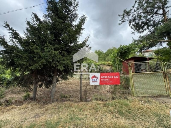 Парцел в с. Калипетрово, Област Силистра - 1200 кв.м за 9 €/кв.м - Снимка #1