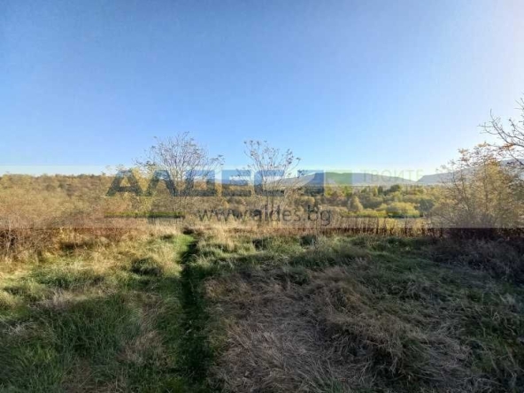 Парцел в Банкя - 2005 кв.м за 10 €/кв.м - Снимка #1