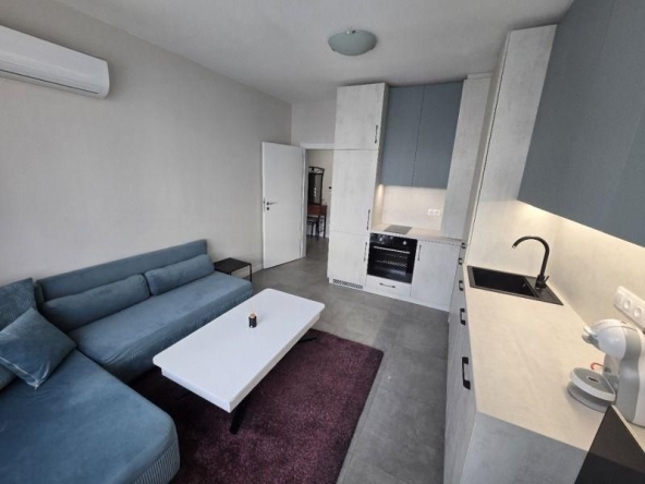 Дава се под наем Двустаен апартамент в София, Хладилника - 55 кв.м за 667.08 € - Снимка #1