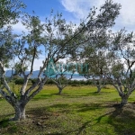 Парцел в София, Студентски град - 2000 кв.м за 6 €/кв.м - Снимка #1