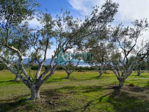 Парцел в София, Студентски град - 2000 кв.м за 6 €/кв.м - Снимка #1