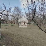 Къща в с. Преспа, Област Добрич - 65 кв.м за 424 €/кв.м - Снимка #1