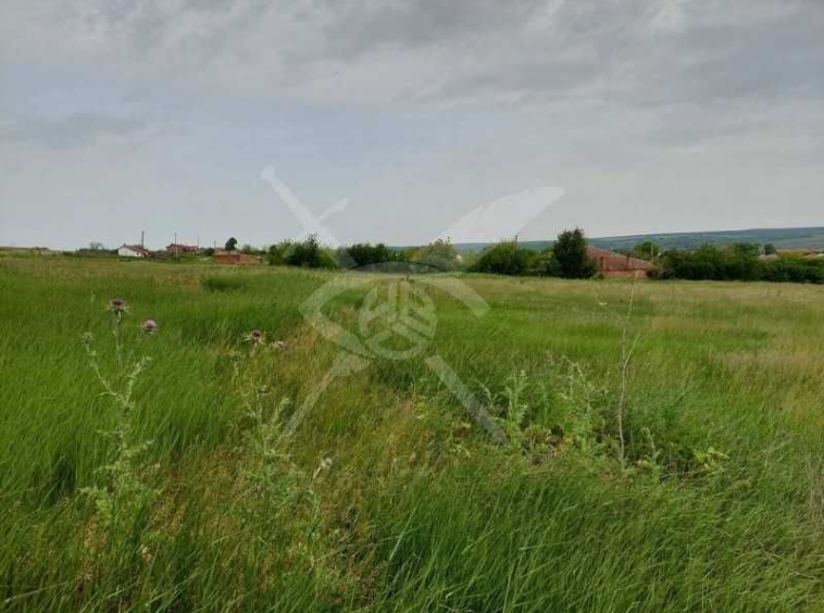 Парцел в к.к. Слънчев бряг - 2000 кв.м за 7 €/кв.м - Снимка #1