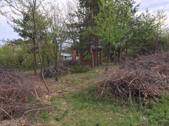 Парцел в с. Лозен, Област София-град - 600 кв.м за 51 €/кв.м - Снимка #1