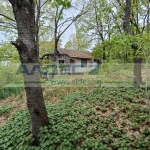 Парцел в с. Царичина, Област София-област - 1003 кв.м за 15 €/кв.м - Снимка #1