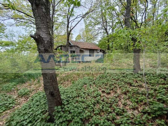 Парцел в с. Царичина, Област София-област - 1003 кв.м за 15 €/кв.м - Снимка #1