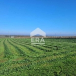 Парцел в с. Кичево, Област Варна - 4968 кв.м за 12 €/кв.м - Снимка #1