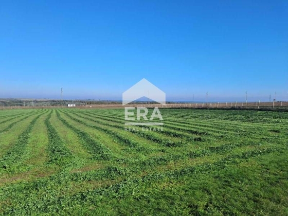 Парцел в с. Кичево, Област Варна - 4968 кв.м за 12 €/кв.м - Снимка #1