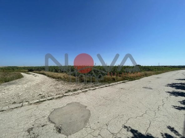 Парцел в с. Кичево, Област Варна - 5000 кв.м за 7 €/кв.м - Снимка #1