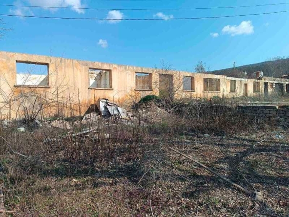 Парцел в с. Оброчище, Област Добрич - 2405 кв.м за 16 €/кв.м - Снимка #1