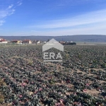 Парцел в с. Близнаци, Област Варна - 501 кв.м за 15 €/кв.м - Снимка #1