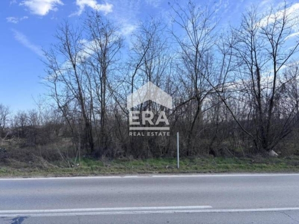 Парцел в с. Тополи, Област Варна - 3768 кв.м за 43 €/кв.м - Снимка #1