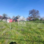 Парцел в с. Конуш, Област Хасково - 880 кв.м за 27 €/кв.м - Снимка #1