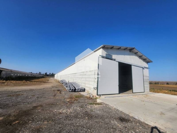 Дава се под наем Склад в с. Червена вода, Област Русе - 2000 кв.м за 4000 € - Снимка #1