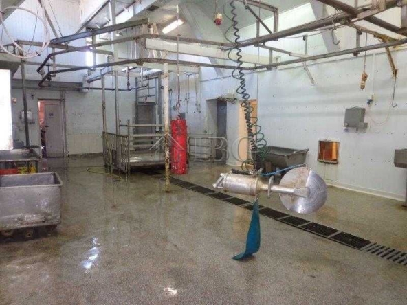 Промишлена сграда в Русе, Чародейка - Юг - 1519 кв.м за 264 €/кв.м - Снимка #1