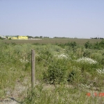 Парцел в Добрич, Добротица - Албенска - 24000 кв.м за 11 €/кв.м - Снимка #1