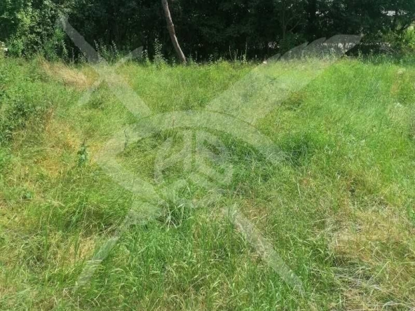 Парцел в с. Крумово, Област Пловдив - 2250 кв.м за 15 €/кв.м - Снимка #1