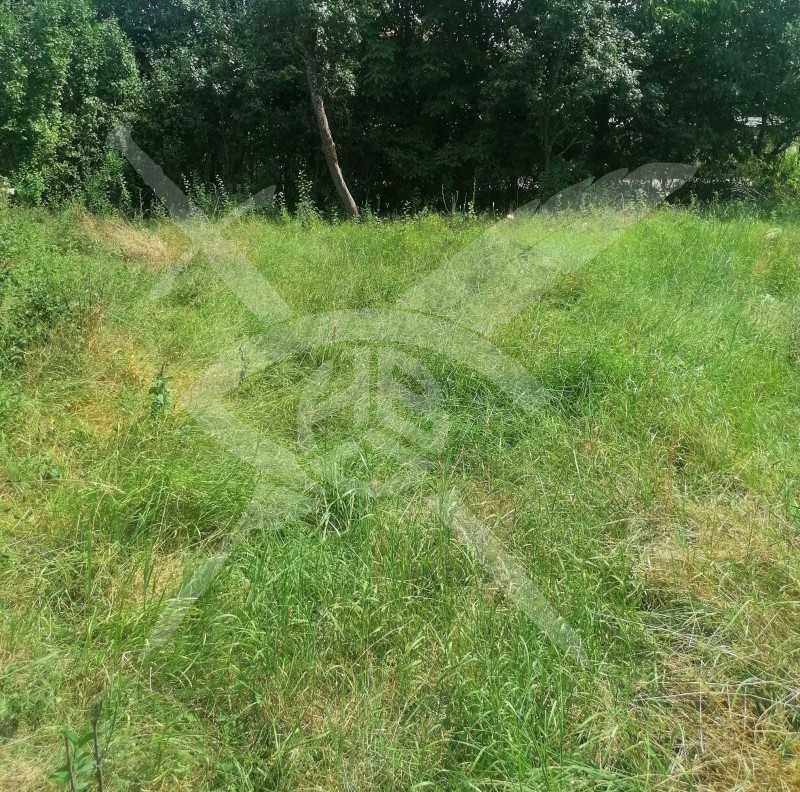 Парцел в с. Крумово, Област Пловдив - 2250 кв.м за 15 €/кв.м - Снимка #1