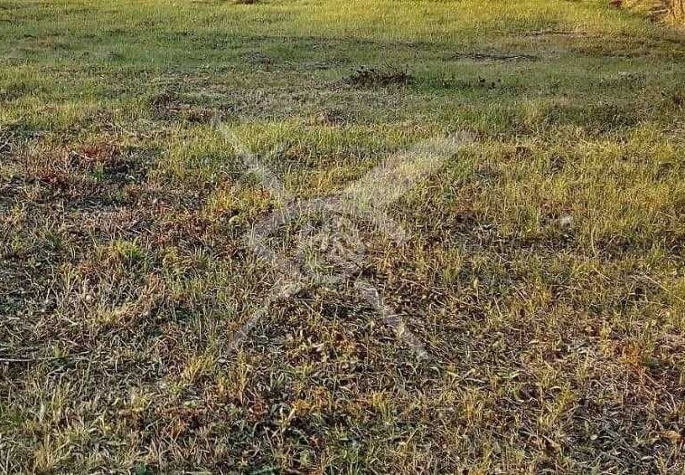 Парцел в с. Бенковски, Област Пловдив - 7109 кв.м за 8 €/кв.м - Снимка #1