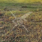 Парцел в с. Бенковски, Област Пловдив - 7109 кв.м за 16 €/кв.м - Снимка #1