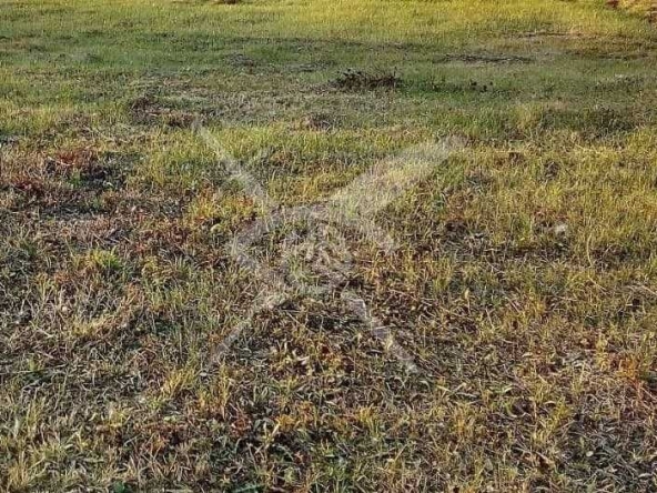 Парцел в с. Бенковски, Област Пловдив - 7109 кв.м за 16 €/кв.м - Снимка #1