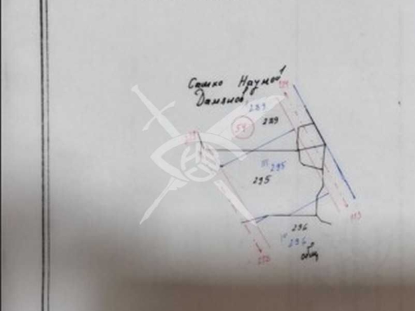 Парцел в с. Мламолово, Област Кюстендил - 972 кв.м за 20 €/кв.м - Снимка #1