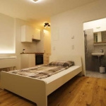 Дава се под наем Едностаен апартамент в Пловдив, Каменица 2 - 45 кв.м за 244.8 € - Снимка #1