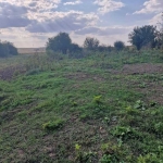 Парцел в с. Полковник Минково, Област Добрич - 1500 кв.м за 7 €/кв.м - Снимка #1