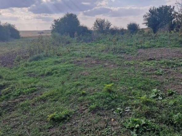 Парцел в с. Полковник Минково, Област Добрич - 1500 кв.м за 7 €/кв.м - Снимка #1