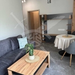 Дава се под наем Двустаен апартамент в София, Драгалевци - 46 кв.м за 870 € - Снимка #1