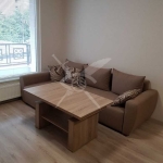 Дава се под наем Тристаен апартамент в София, Младост 2 - 80 кв.м за 750 € - Снимка #1