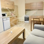 Дава се под наем Тристаен апартамент в София, Дружба 1 - 100 кв.м за 700 € - Снимка #1