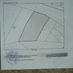 Земеделски имот в Драгоман -  кв.м за 3 €/дка - Снимка #1