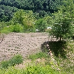 Парцел в с. Югово, Област Пловдив - 252 кв.м за 40 €/кв.м - Снимка #1