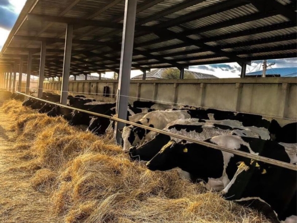 Промишлена сграда в Димитровград - 1000 кв.м за 100 €/кв.м - Снимка #1