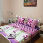 Дава се под наем Двустаен апартамент в Пловдив, Каменица 2 - 60 кв.м за 249.9 € - Снимка #1