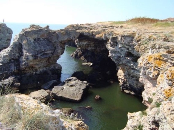 Парцел в с. Тюленово, Област Добрич - 1500 кв.м за 33 €/кв.м - Снимка #1