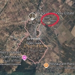 Земеделски имот в с. Брестник, Област Пловдив -  кв.м за 51940 €/дка - Снимка #1