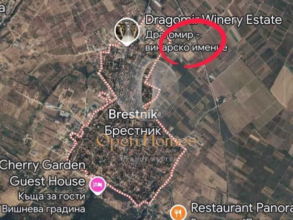 Земеделски имот в с. Брестник, Област Пловдив -  кв.м за 51940 €/дка - Снимка #1