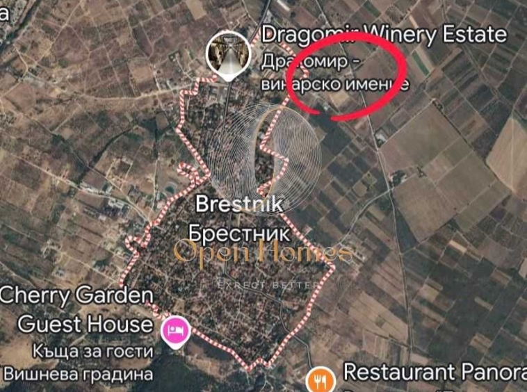 Земеделски имот в с. Брестник, Област Пловдив -  кв.м за 44100 €/дка - Снимка #1