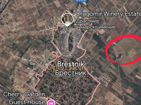 Земеделски имот в с. Брестник, Област Пловдив -  кв.м за 11730 €/дка - Снимка #1