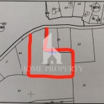 Парцел в с. Войнеговци, Област София-град - 5483 кв.м за 45 €/кв.м - Снимка #1