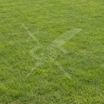 Парцел в с. Кочево, Област Пловдив - 1300 кв.м за 18 €/кв.м - Снимка #1