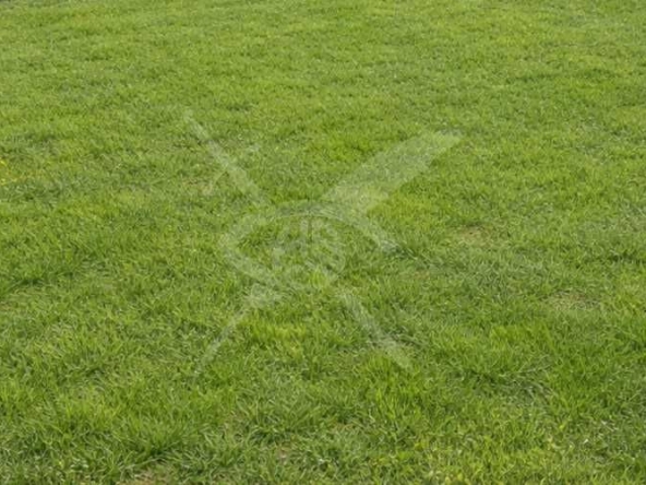 Парцел в с. Кочево, Област Пловдив - 1300 кв.м за 18 €/кв.м - Снимка #1