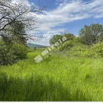 Парцел в Велико Търново, Акация - 1950 кв.м за 6 €/кв.м - Снимка #1