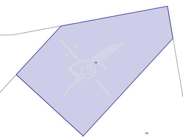 Парцел в с. Емона, Област Бургас - 5050 кв.м за 12 €/кв.м - Снимка #1