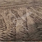 Парцел в с. Анево, Област Пловдив - 4000 кв.м за 8 €/кв.м - Снимка #1