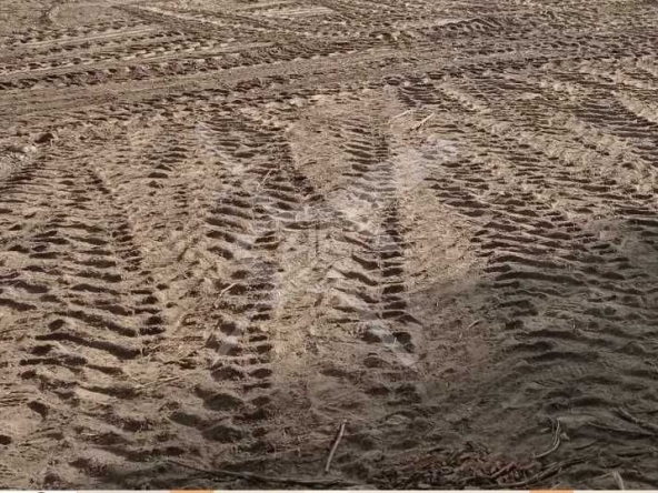 Парцел в с. Анево, Област Пловдив - 4000 кв.м за 8 €/кв.м - Снимка #1