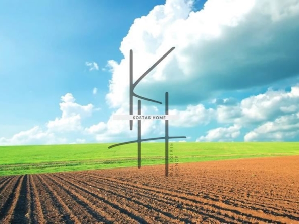 Парцел в с. Звездица, Област Варна - 360 кв.м за 23 €/кв.м - Снимка #1